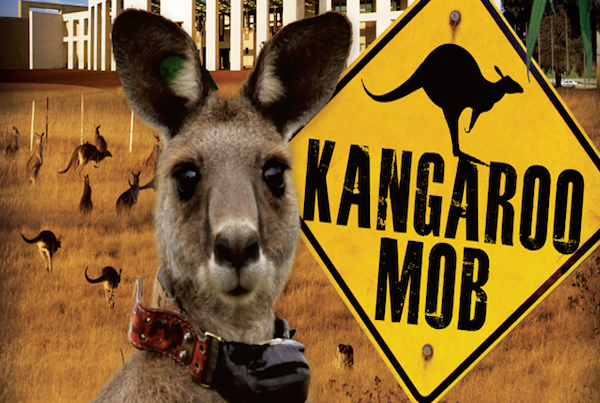 Kangaroo Mob Main Theme