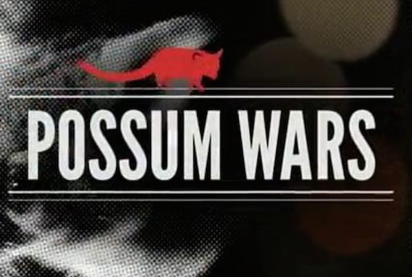Possum Wars (Opening PreTitles & Titles)